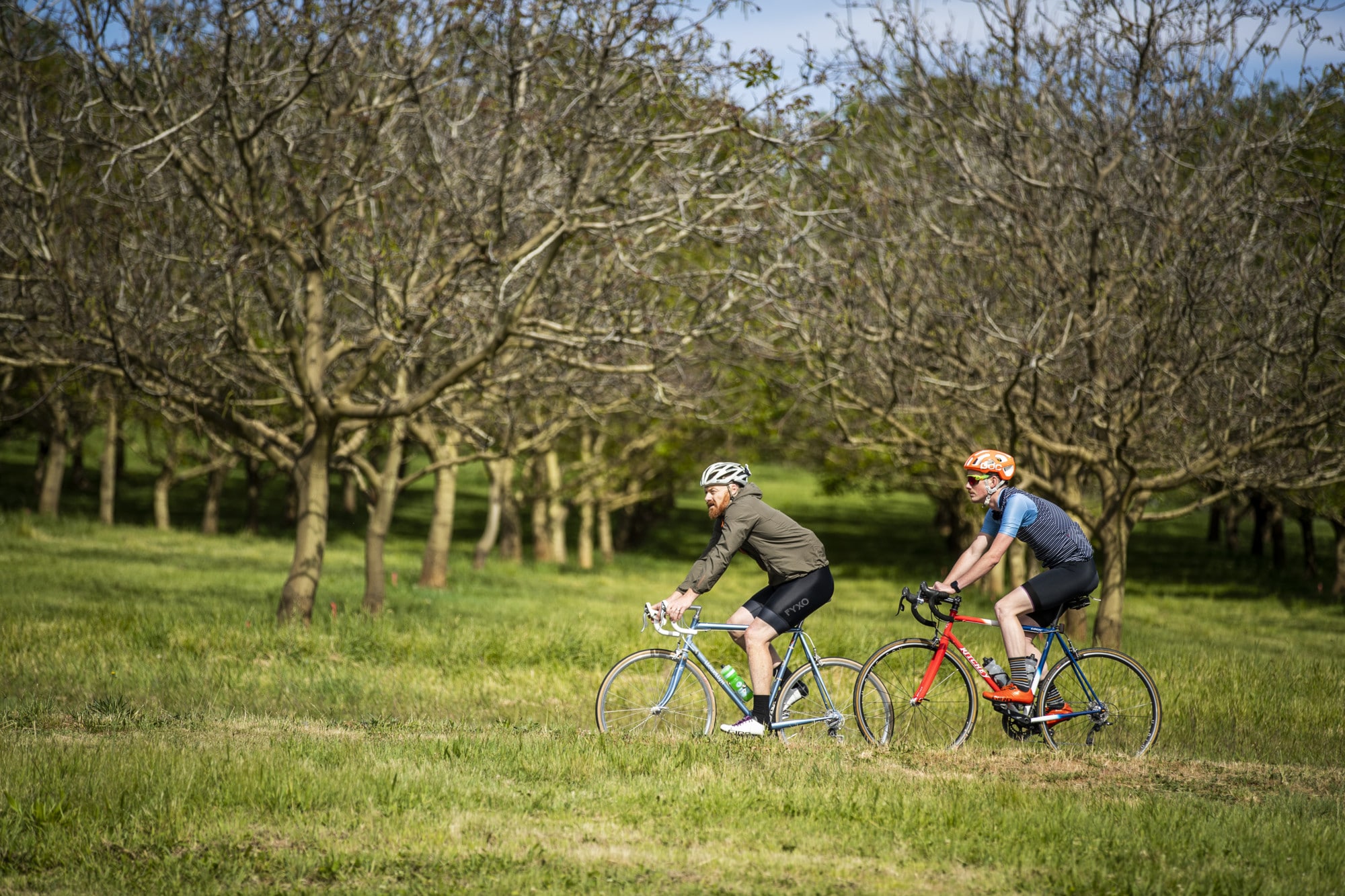 Europa Gully Orchard